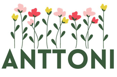 FLORES ANTTONI